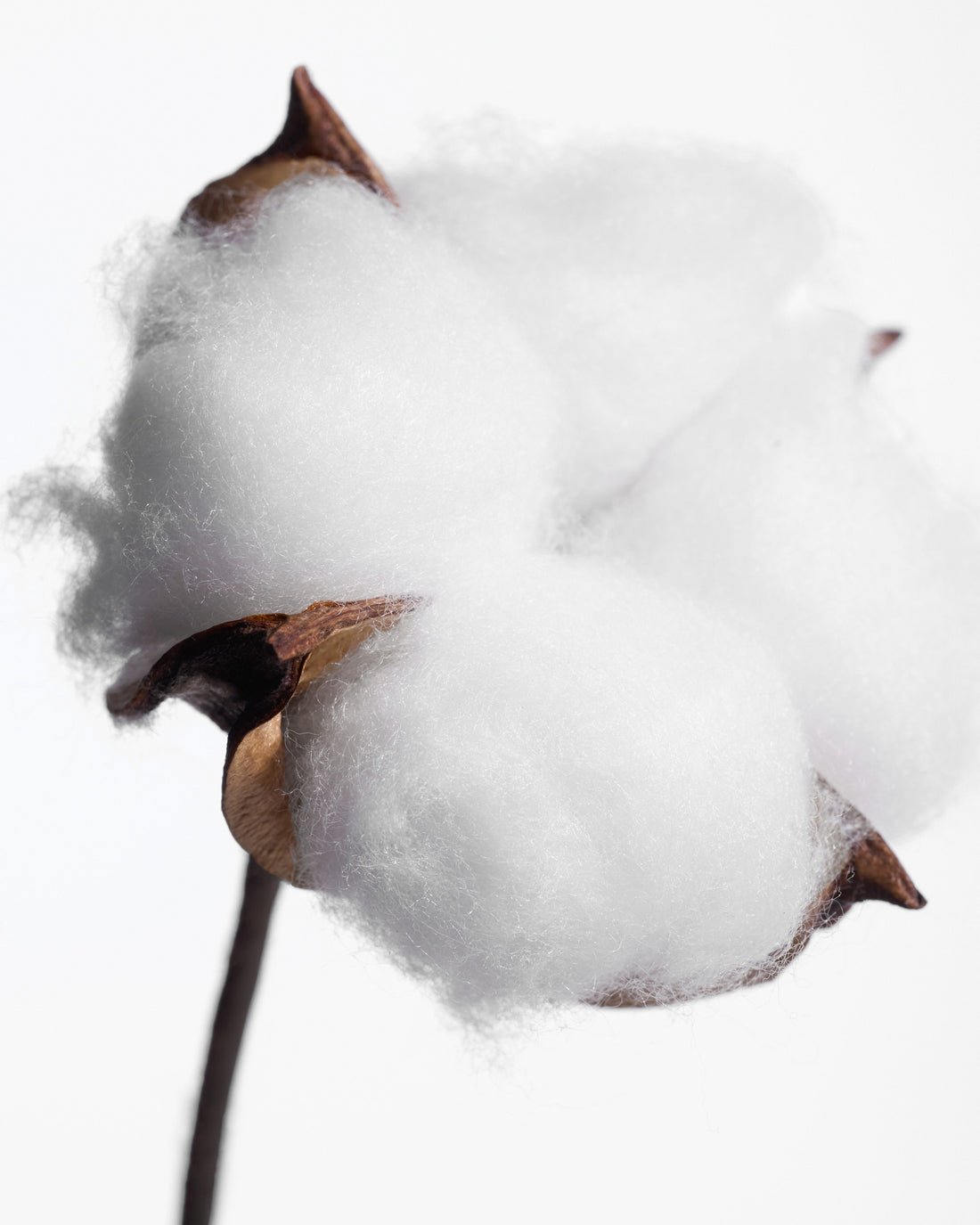 Déodorant stick Fleur de Coton